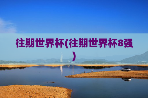 往期世界杯(往期世界杯8强)