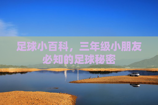 足球小百科，三年级小朋友必知的足球秘密