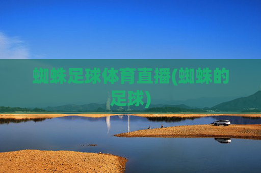 蜘蛛足球体育直播(蜘蛛的足球)