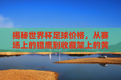揭秘世界杯足球价格,从赛场上的猎鹰到收藏架上的黄金
