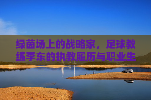 绿茵场上的战略家,足球教练李东的执教履历与职业生涯概览