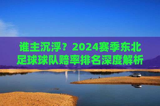 谁主沉浮？2024赛季东北足球球队赔率排名深度解析