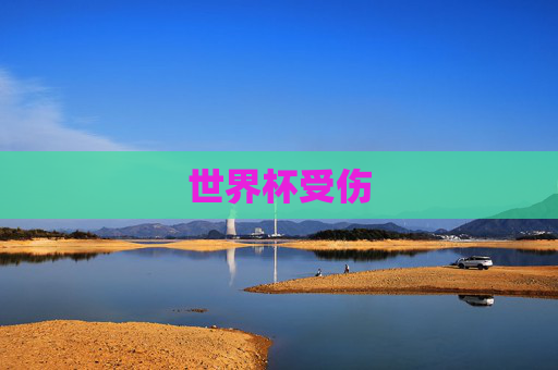 世界杯受伤