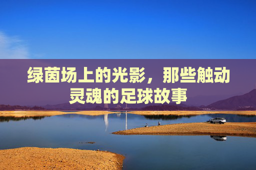 绿茵场上的光影，那些触动灵魂的足球故事