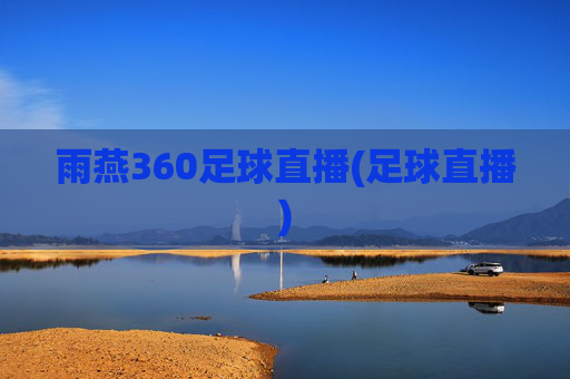 雨燕360足球直播(足球直播)