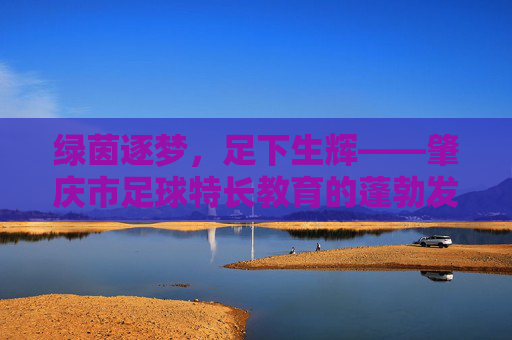 绿茵逐梦，足下生辉——肇庆市足球特长教育的蓬勃发展之路