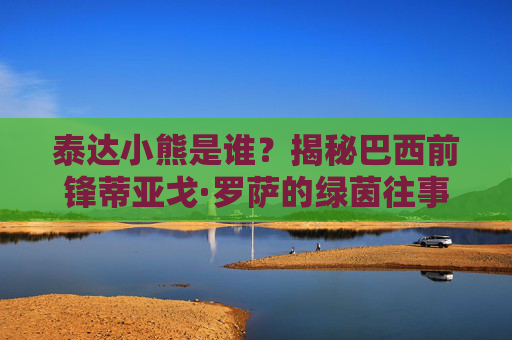 泰达小熊是谁？揭秘巴西前锋蒂亚戈·罗萨的绿茵往事
