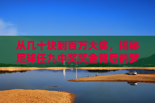 从几十块到百万大奖,揭秘足球任九中奖奖金背后的梦想与博弈