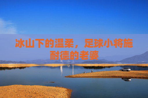 冰山下的温柔,足球小将施耐德的老婆