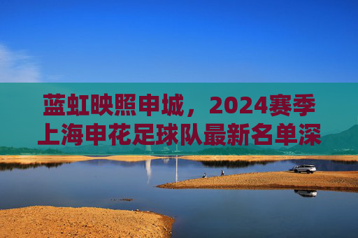 蓝虹映照申城，2024赛季上海申花足球队最新名单深度解析