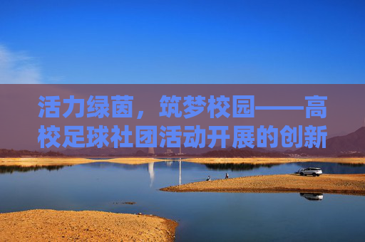 活力绿茵，筑梦校园——高校足球社团活动开展的创新与思考