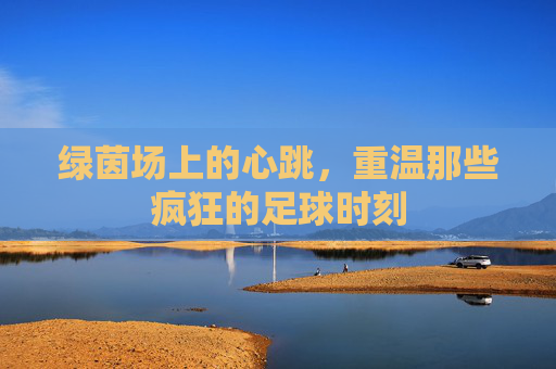 绿茵场上的心跳,重温那些疯狂的足球时刻