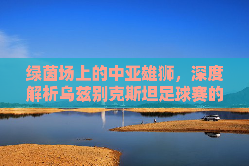 绿茵场上的中亚雄狮，深度解析乌兹别克斯坦足球赛的热血与激情