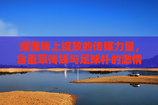 绿茵场上绽放的传媒力量，含羞草传媒与足球朴的激情碰撞