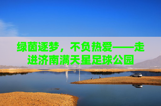 绿茵逐梦，不负热爱——走进济南满天星足球公园