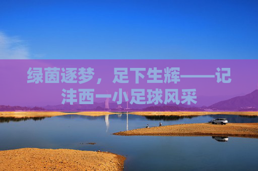 绿茵逐梦，足下生辉——记沣西一小足球风采