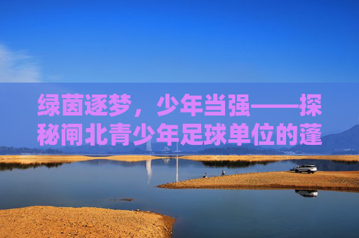 绿茵逐梦，少年当强——探秘闸北青少年足球单位的蓬勃发展