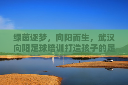绿茵逐梦,向阳而生,武汉向阳足球培训打造孩子的足球启蒙之旅