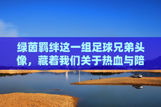 绿茵羁绊这一组足球兄弟头像，藏着我们关于热血与陪伴的所有记忆