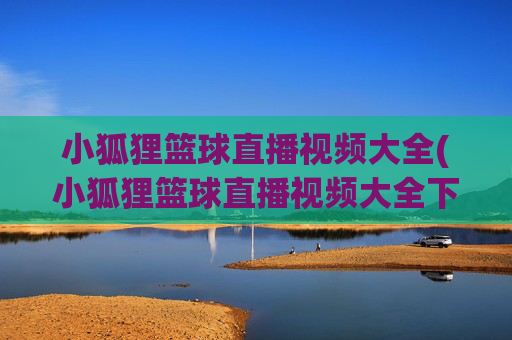 小狐狸篮球直播视频大全(小狐狸篮球直播视频大全下载)