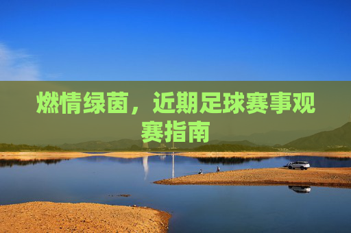 燃情绿茵,近期足球赛事观赛指南