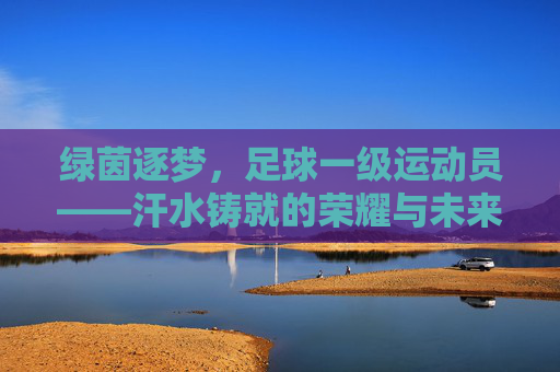 绿茵逐梦,足球一级运动员——汗水铸就的荣耀与未来