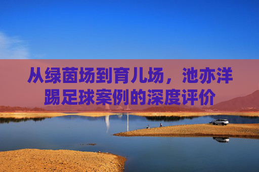 从绿茵场到育儿场,池亦洋踢足球案例的深度评价