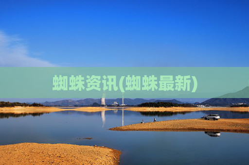 蜘蛛资讯(蜘蛛最新)