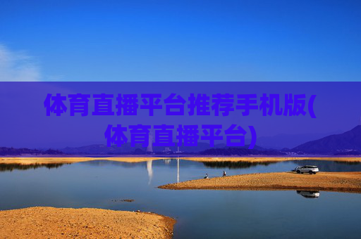 体育直播平台推荐手机版(体育直播平台)