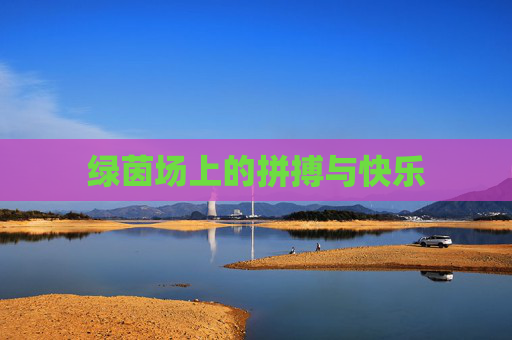 绿茵场上的拼搏与快乐