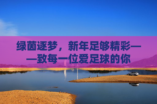 绿茵逐梦，新年足够精彩——致每一位爱足球的你