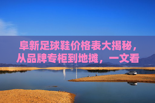阜新足球鞋价格表大揭秘，从品牌专柜到地摊，一文看懂阜新球鞋行情