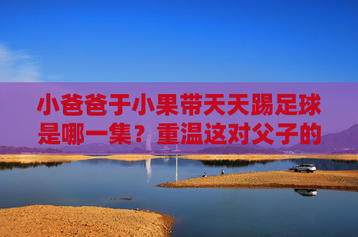 小爸爸于小果带天天踢足球是哪一集？重温这对父子的温情时刻