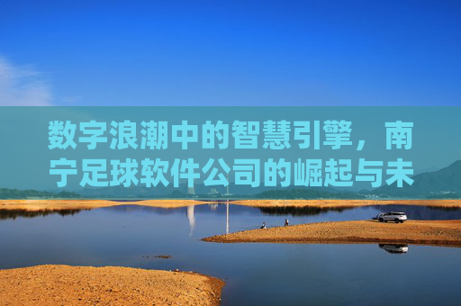 数字浪潮中的智慧引擎,南宁足球软件公司的崛起与未来