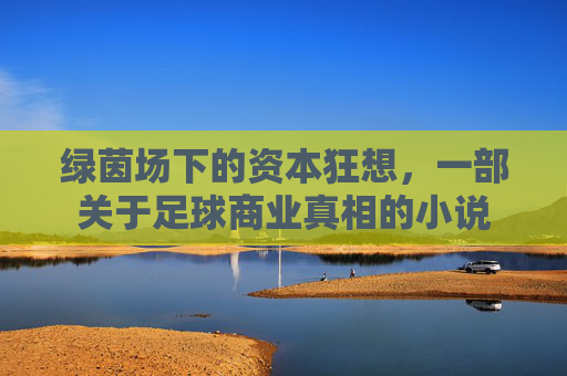 绿茵场下的资本狂想,一部关于足球商业真相的小说