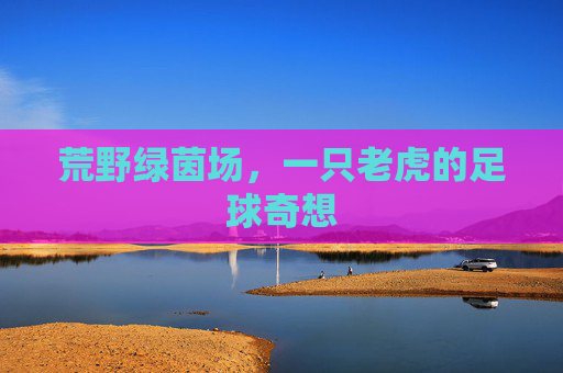 荒野绿茵场，一只老虎的足球奇想