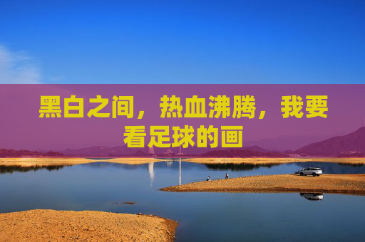 黑白之间，热血沸腾，我要看足球的画
