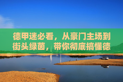 德甲迷必看，从豪门主场到街头绿茵，带你彻底搞懂德国哪有足球场地