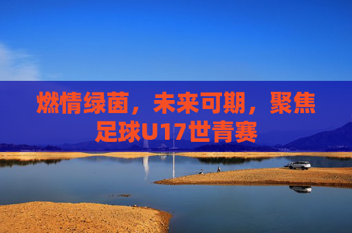 燃情绿茵，未来可期，聚焦足球U17世青赛