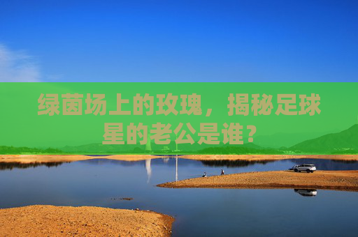 绿茵场上的玫瑰，揭秘足球星的老公是谁？