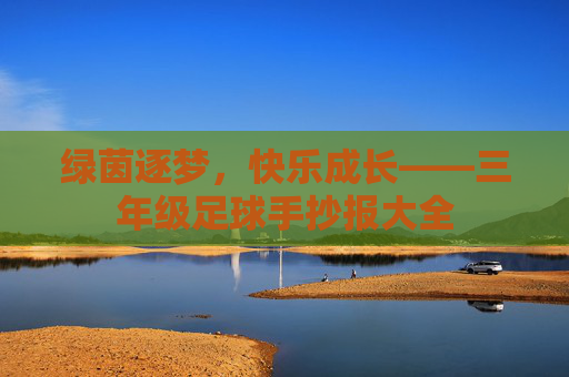 绿茵逐梦，快乐成长——三年级足球手抄报大全