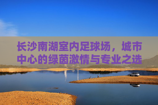 长沙南湖室内足球场，城市中心的绿茵激情与专业之选