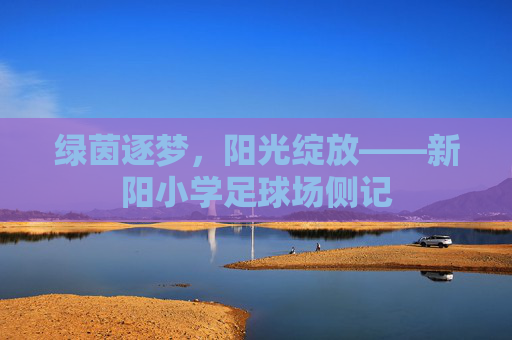 绿茵逐梦,阳光绽放——新阳小学足球场侧记
