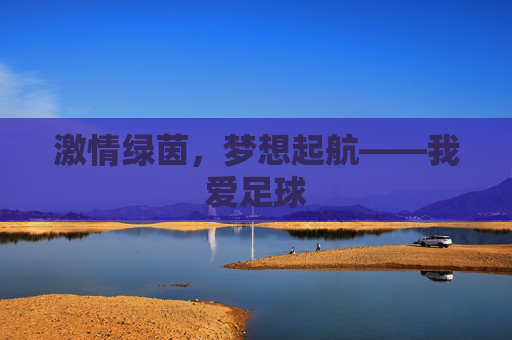 激情绿茵,梦想起航——我爱足球