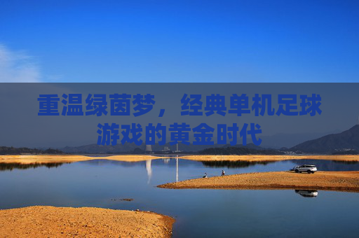 重温绿茵梦,经典单机足球游戏的黄金时代
