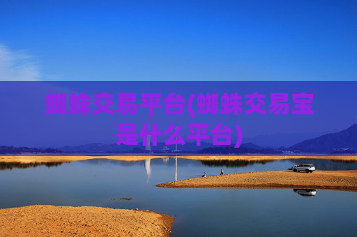 蜘蛛交易平台(蜘蛛交易宝是什么平台)