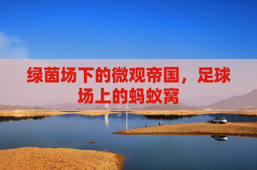 绿茵场下的微观帝国，足球场上的蚂蚁窝