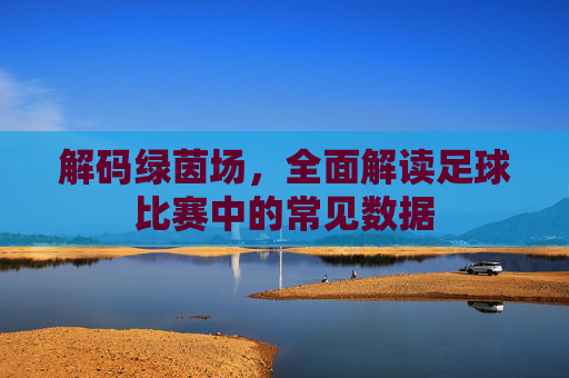 解码绿茵场,全面解读足球比赛中的常见数据