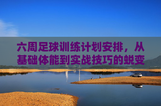 六周足球训练计划安排，从基础体能到实战技巧的蜕变