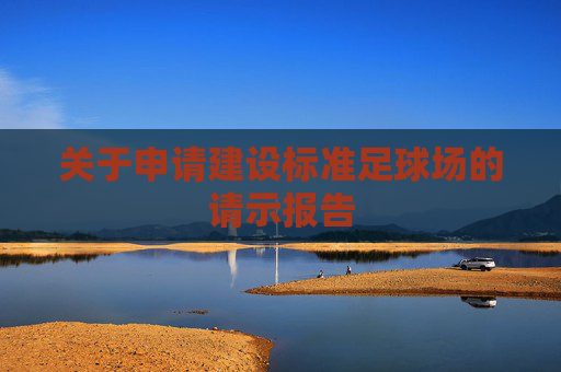 关于申请建设标准足球场的请示报告